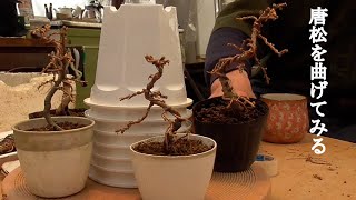 The best time to wire is when there are no leaves. - YouTube