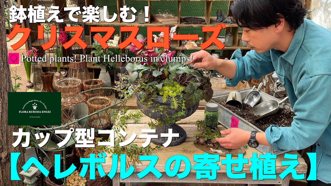 イベント告知あり！】カップ型のコンテナを使って／魅惑の花