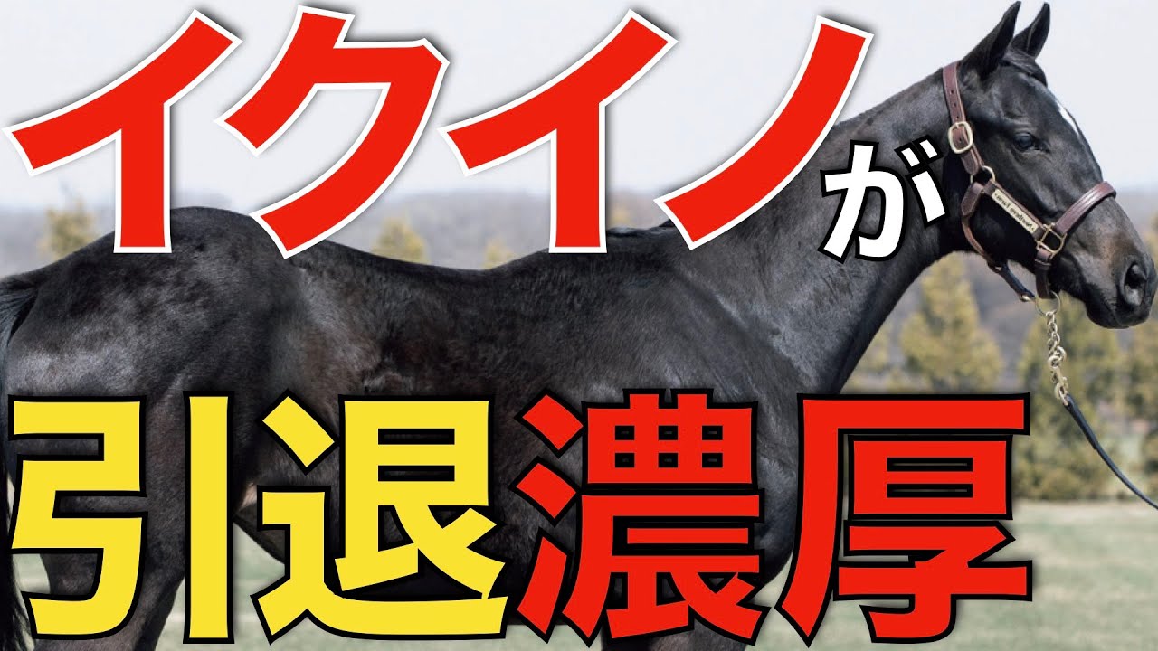 最後の走り】今年でイクイノックスは引退、社台SS入り濃厚か！大種牡馬