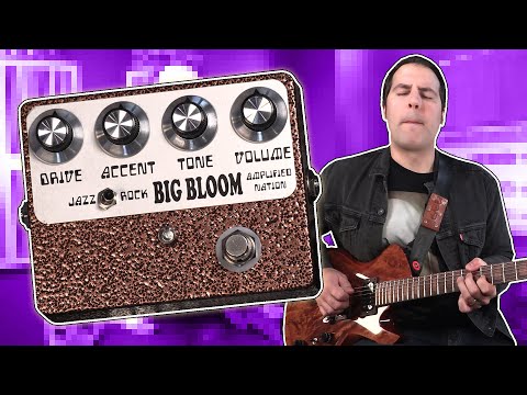 The BEST D-Style Drive Pedal I've Played | Stompbox Saturday - YouTube