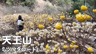 Couple Climbing] Mt. Tenno - Enjoy the view of the Mitsumata in