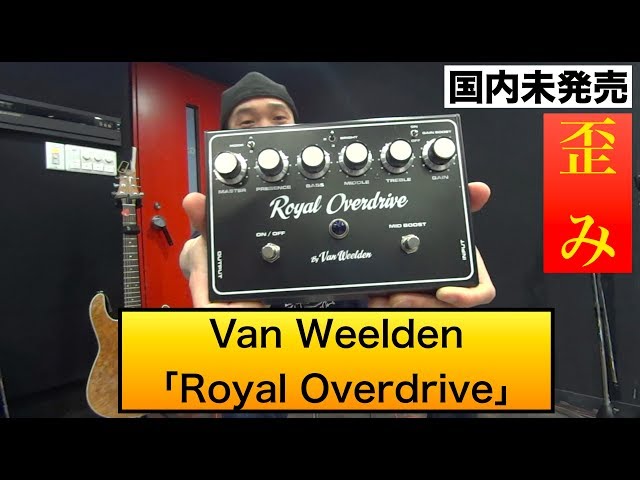 日本では入手困難！？オランダのアンプブランドVan Weeldenから発売