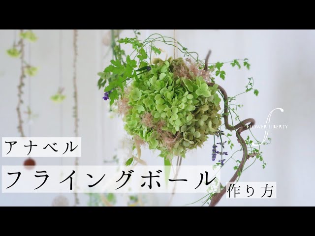 アナベル𖧷フライングボール作り方】 - YouTube