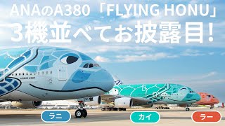 ANAの2階建大型機A380「FLYING HONU」全3機まとめてお披露目！ - YouTube