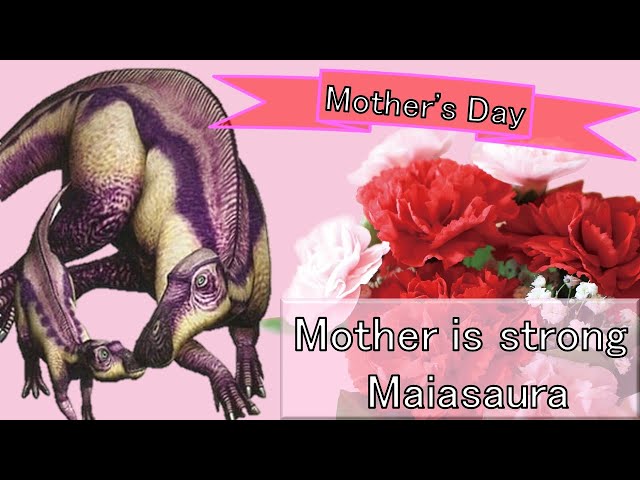 sddefault.jpg?v=62776f85