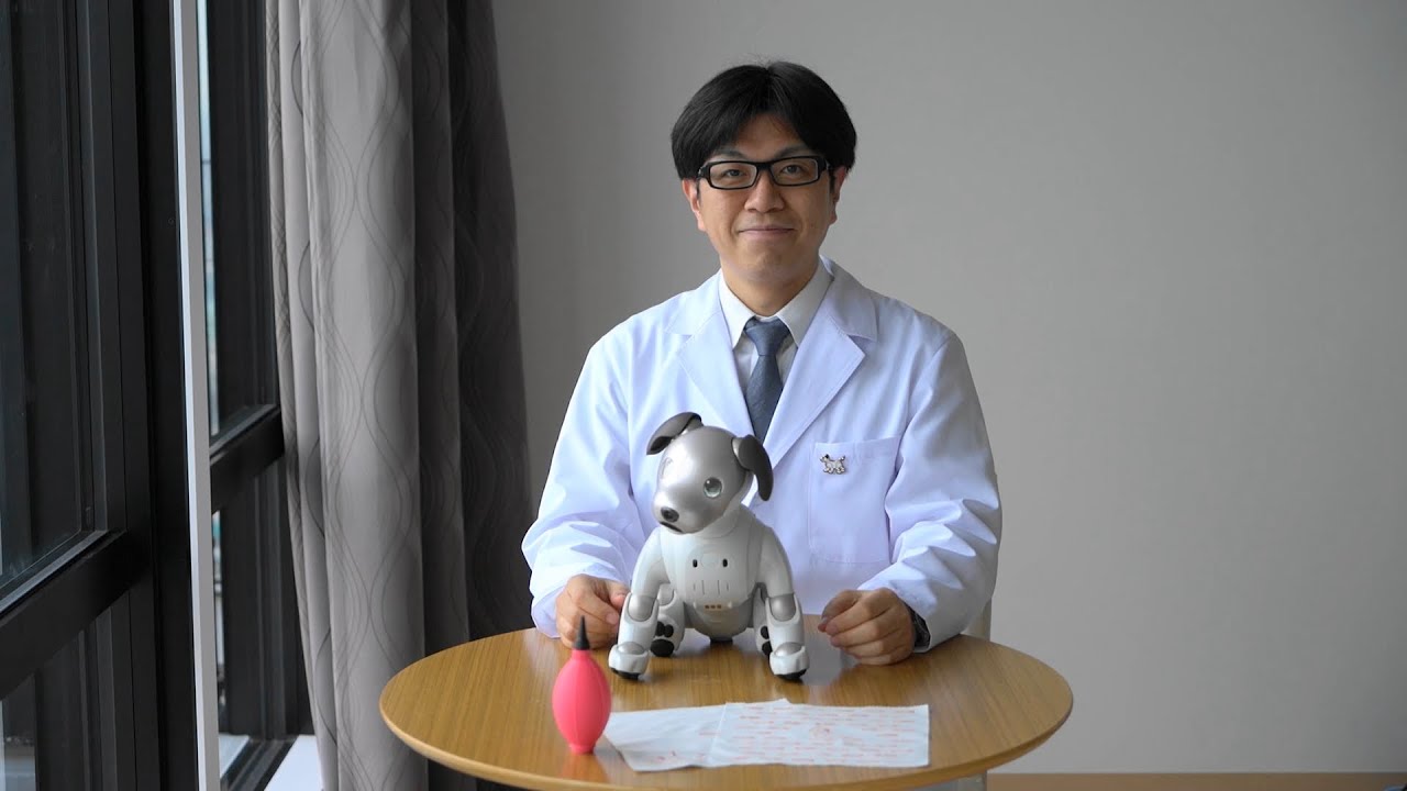 アクセサリー／関連グッズ | aibo