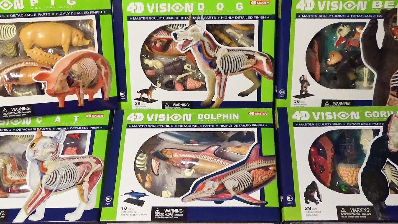 4D VISION