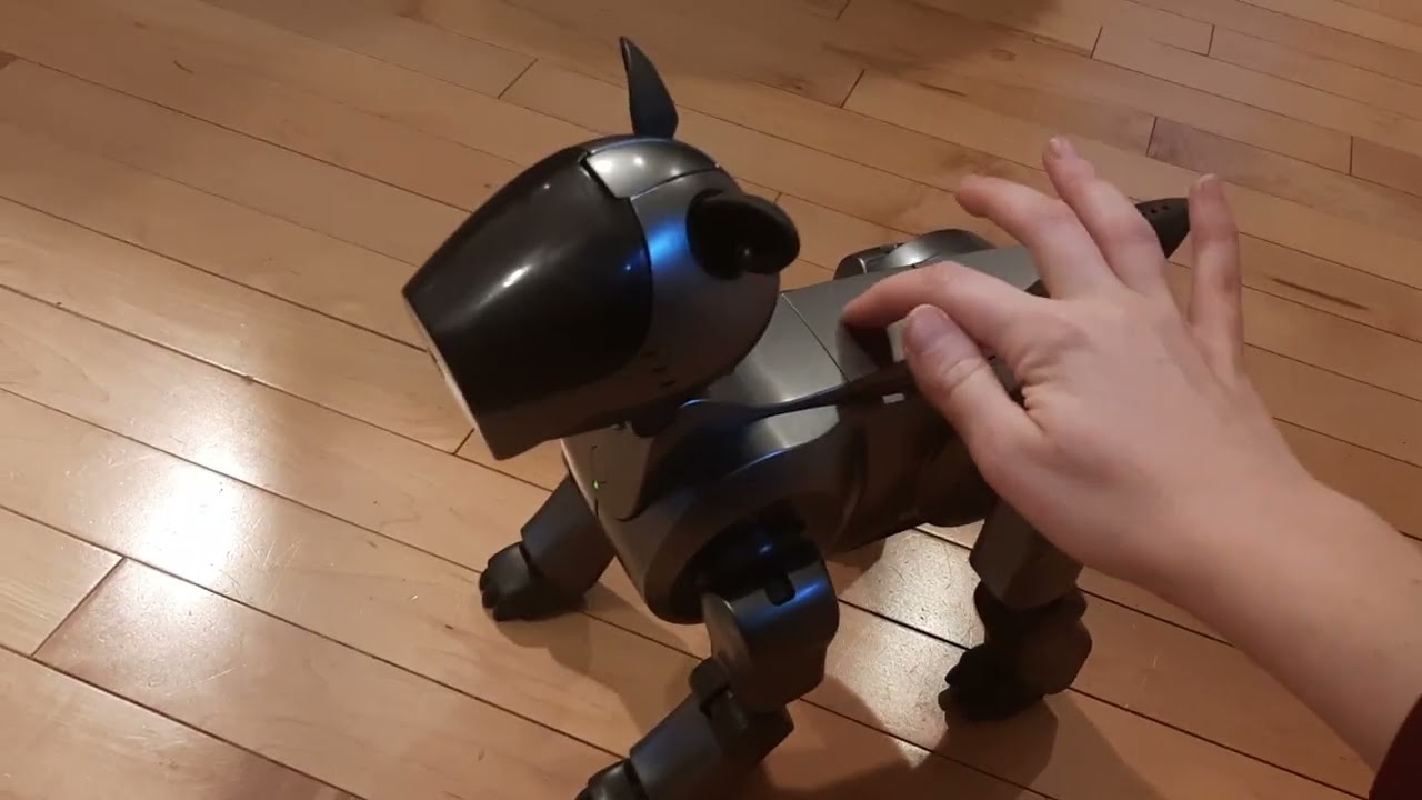 Aibo ers 210 prototype core - YouTube