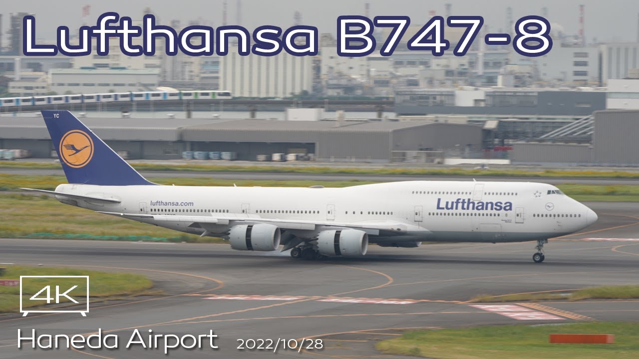 ジャンボ】Lufthansa B747-8 (D-ABYC) LH716 FRA-HND RWY34L Landing