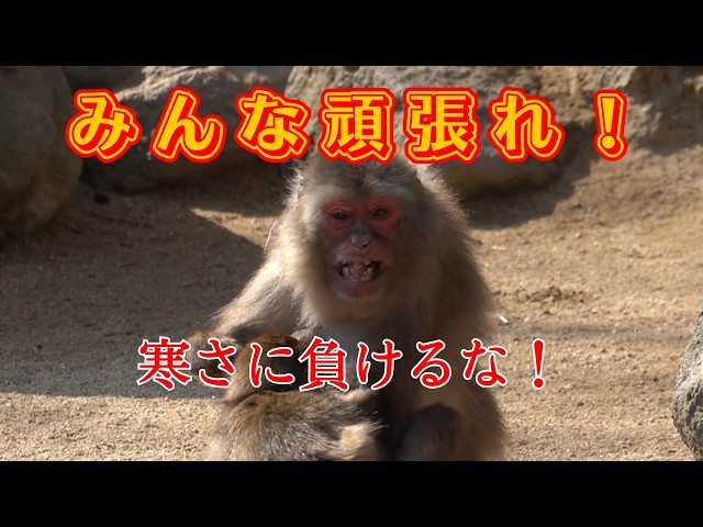 Good luck everyone! Don't let the cold get you down! Winter