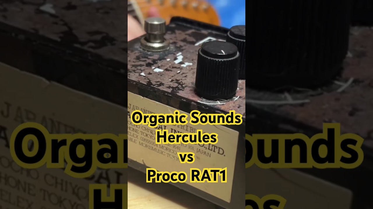 Organic Sounds HerculesとProco RAT1のサウンドを比較してみた