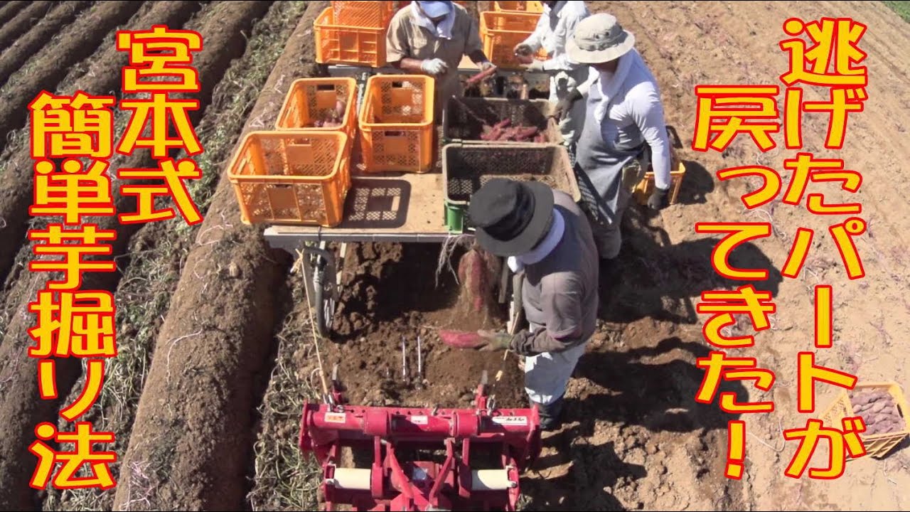 subtitled]今年も芋掘り 宮本式らくらく収穫法 上田農機UPN-583N
