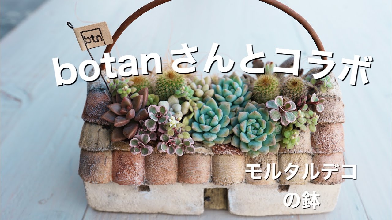 モルタルデコ）多肉植物にぴったりな鉢 botanさんとコラボさせて