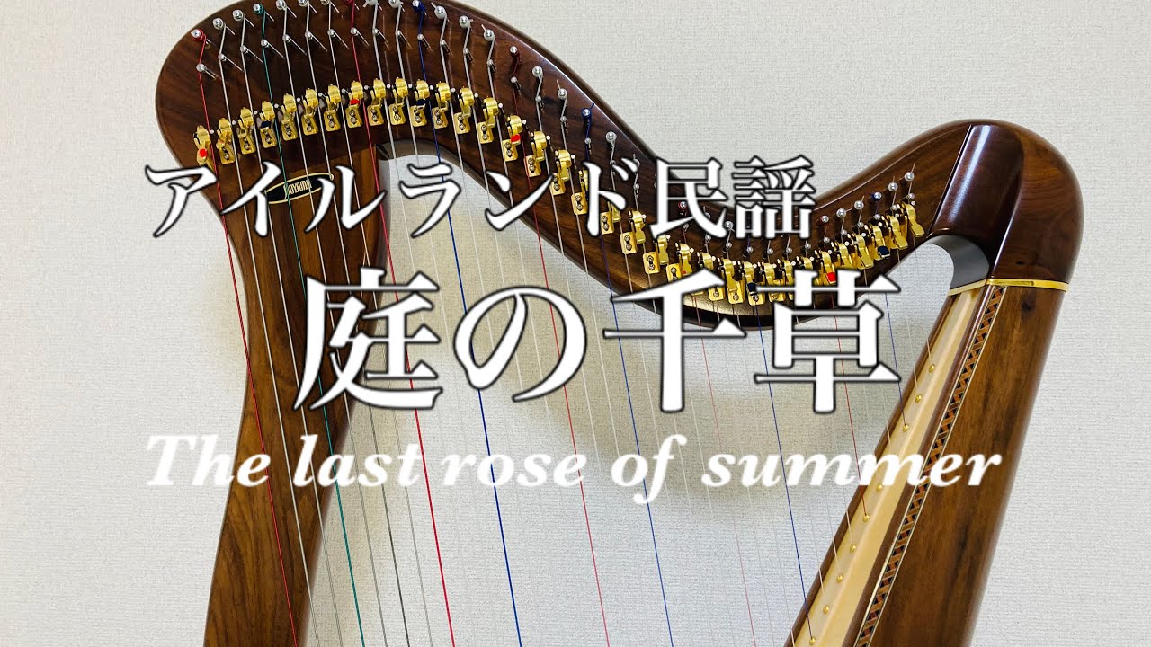 ハープ】庭の千草/the last rose of summer/美しい薔薇の写真と共に