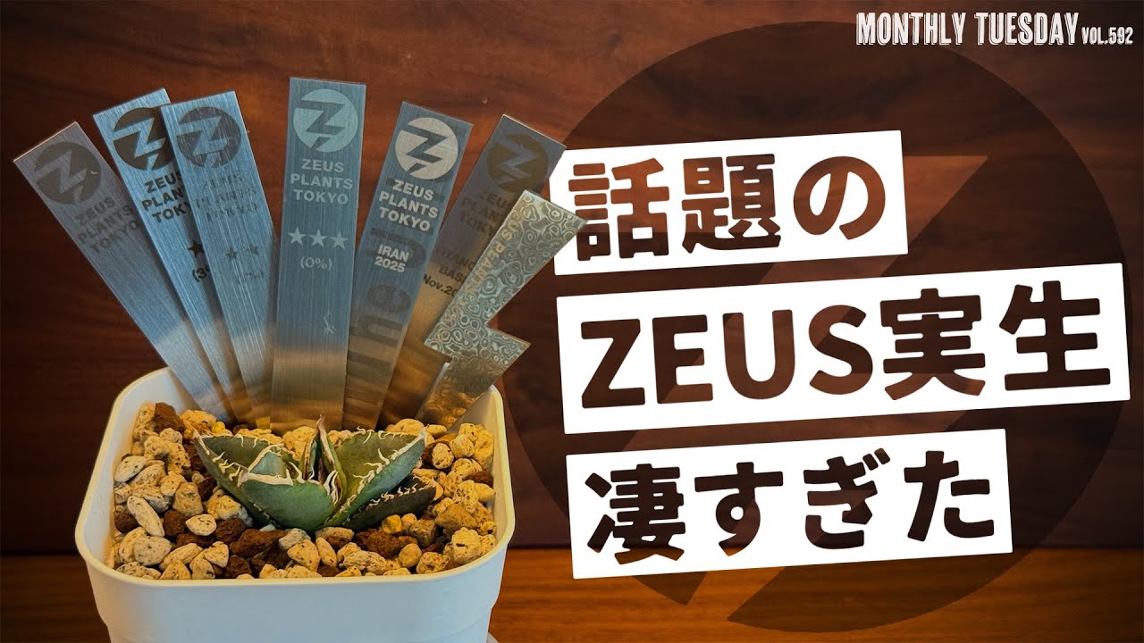 アガベ】アガベ実生！話題のZEUS PLANTS TOKYO特集！日本のアカベ界が