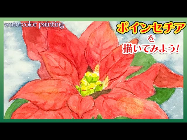 クリスマスのお花🎅🎄】ポインセチアの描き方【透明水彩】 - YouTube