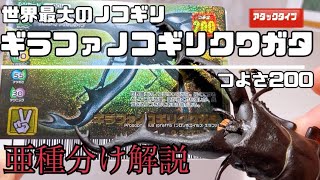 ムシキング】ギラファノコギリクワガタ亜種について話すだけ。 - YouTube