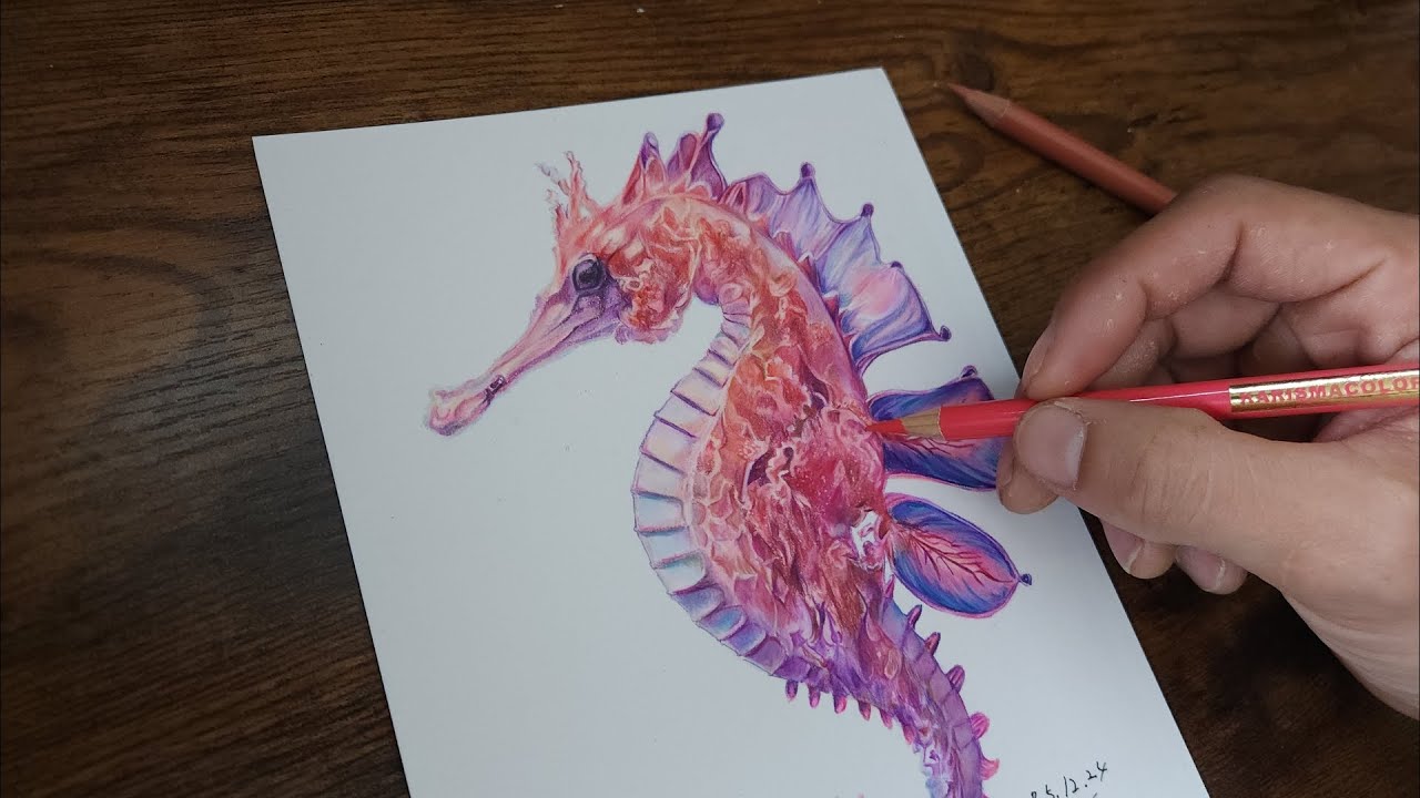 色鉛筆】辰年だから色鉛筆でタツノオトシゴ描いてみた｜Realistic