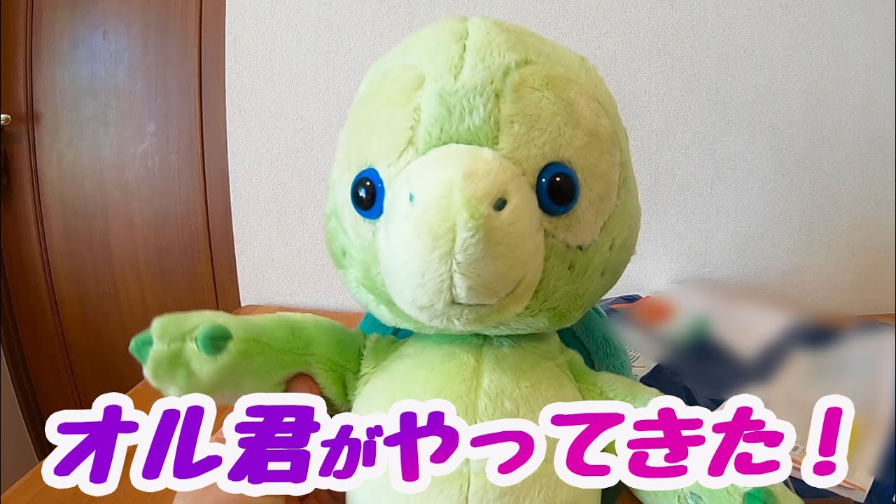 オル君がアメリカから届きました！ - YouTube