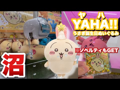 ちいかわ】やや沼りながら誕生日なうさぎBIGぬいぐるみを取ってきた