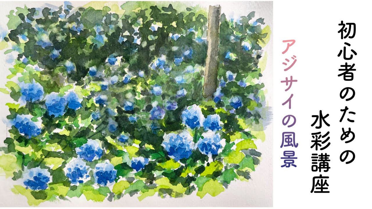 Transparent watercolor for beginners] Hydrangea landscape / flower