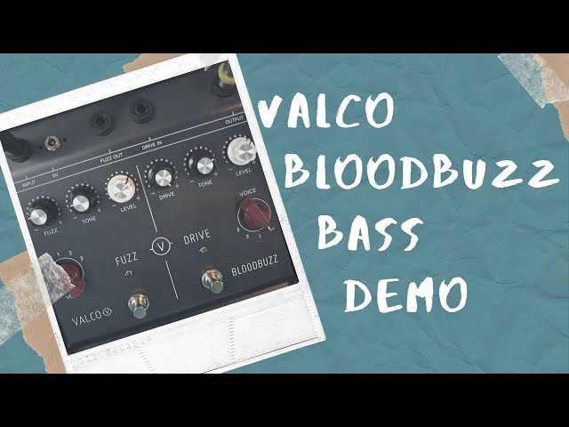 Valco BloodBuzz by Eastwood Guitars Bass Demo and Review - YouTube