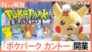600匹超のポケモンに出会える「ポケパーク カントー」オープン
