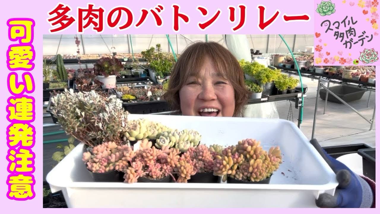 Keeping the cuteness alive🌱 Relaxing time with tiny succulents