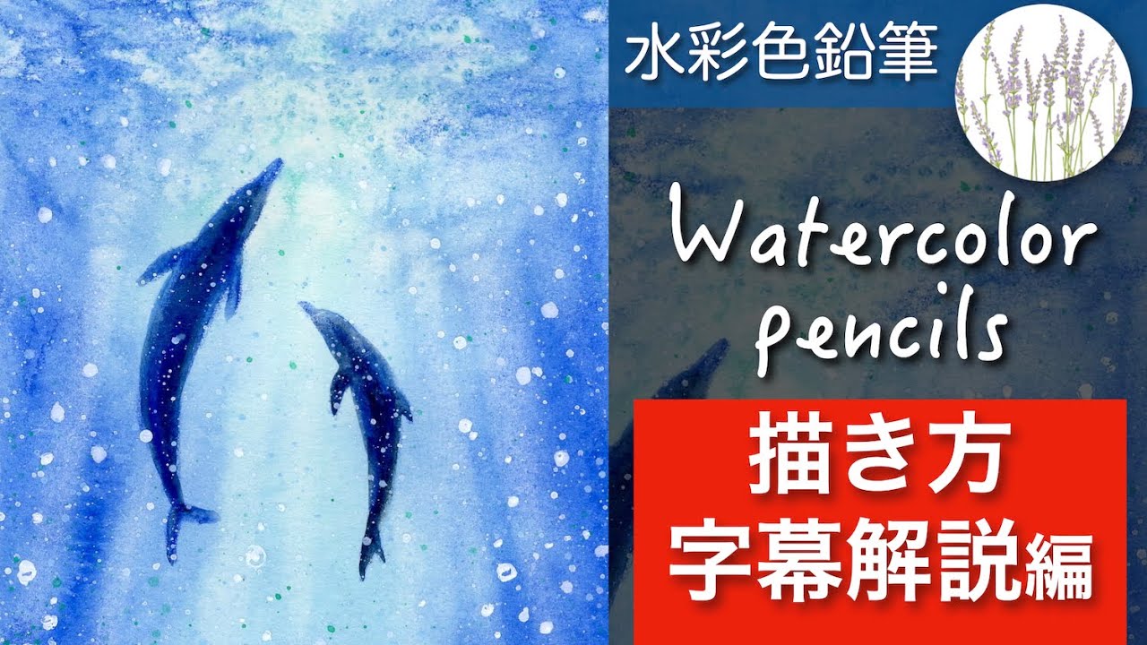 How to draw dolphins in the water | English subtitles available