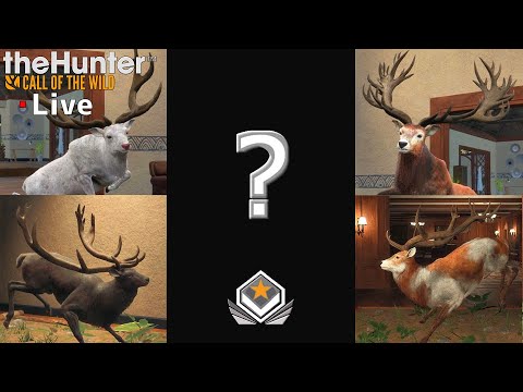 アカシカのグレートワンを探す！_#149【theHunter：生配信】 - YouTube