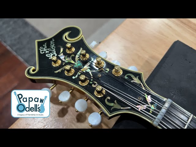 Giving This 1989 Gibson F-5L Mandolin the Setup It Deserves - YouTube