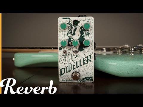 Old Blood Noise Endeavors Dweller Phase Repeater | Reverb Tone