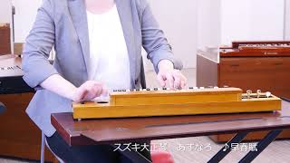 大正琴を弾いてみよう！大正琴とCD付き教則本 入門セット [№5786-3802