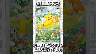 ポケカの夏がキタ！フルイラストのピカチュウがプロモカードパックに