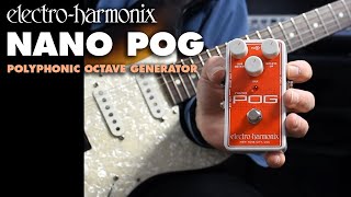 Electro Harmonix Nano POG Polyphonic Octave Generator Pedal (Demo