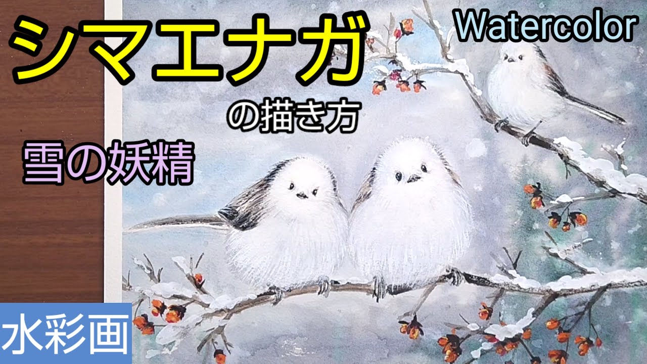 Watercolor]/How to draw Long-tailed Tit (Shimaenaga) with