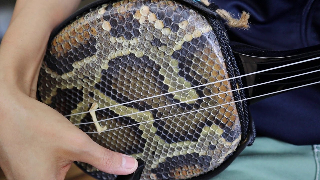 本張り(本蛇皮1枚張り)と強化張りの音色の違い② 本張り - YouTube