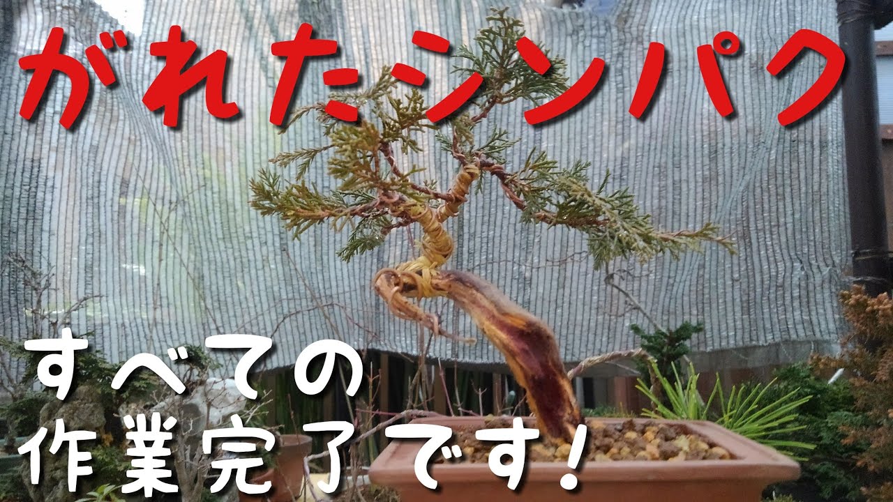 がれたシンパク すべての作業完了です！ - YouTube