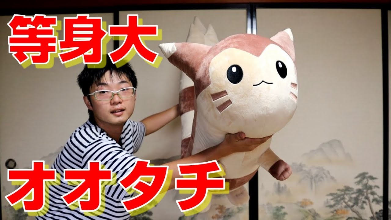 ポケモン】衝撃の大きさ！等身大オオタチをレビュー furret review