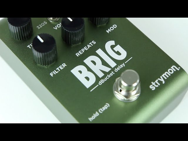 Strymon Brig dBucket Delay - YouTube
