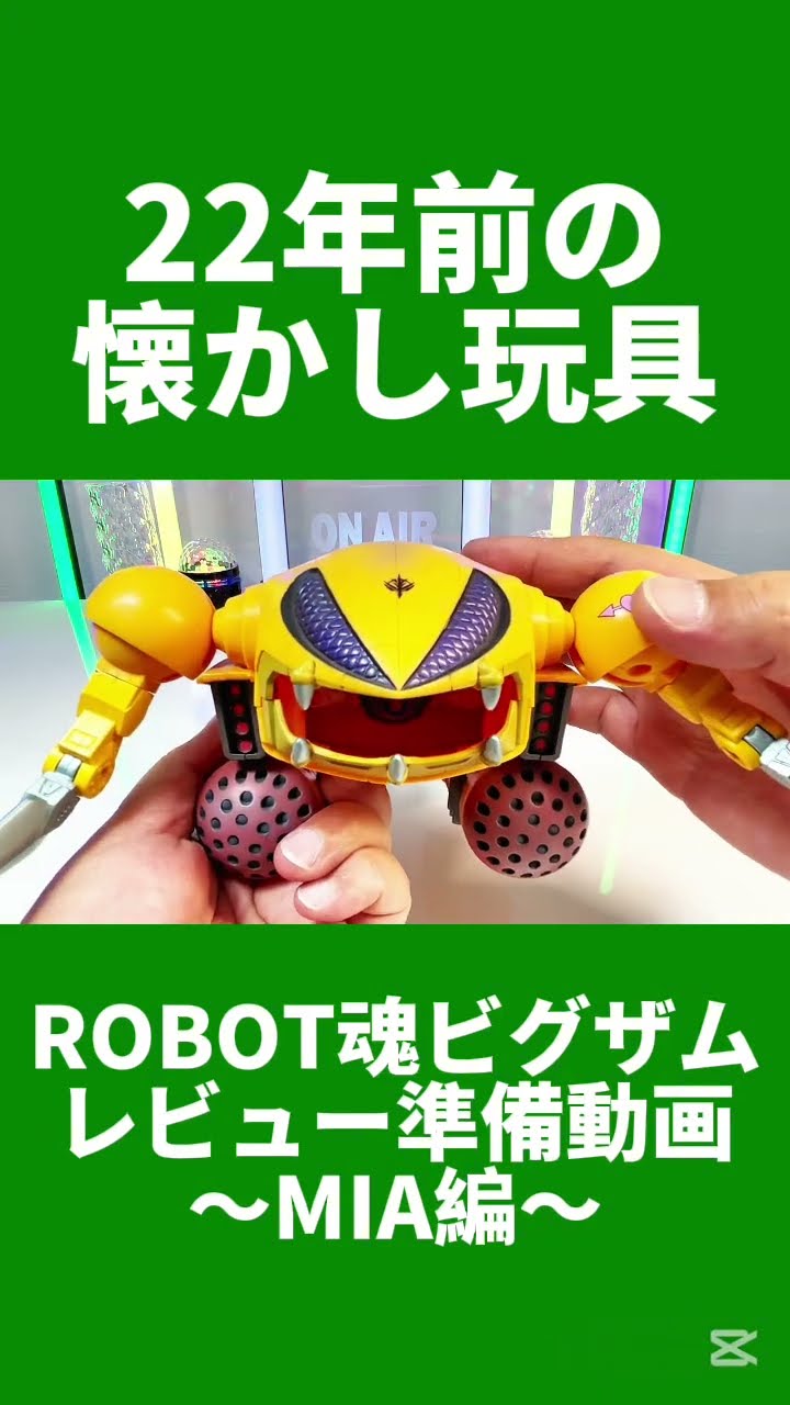 22年前の懐かし玩具】ROBOT魂 ビグ・ザム レビュー準備動画 MIA