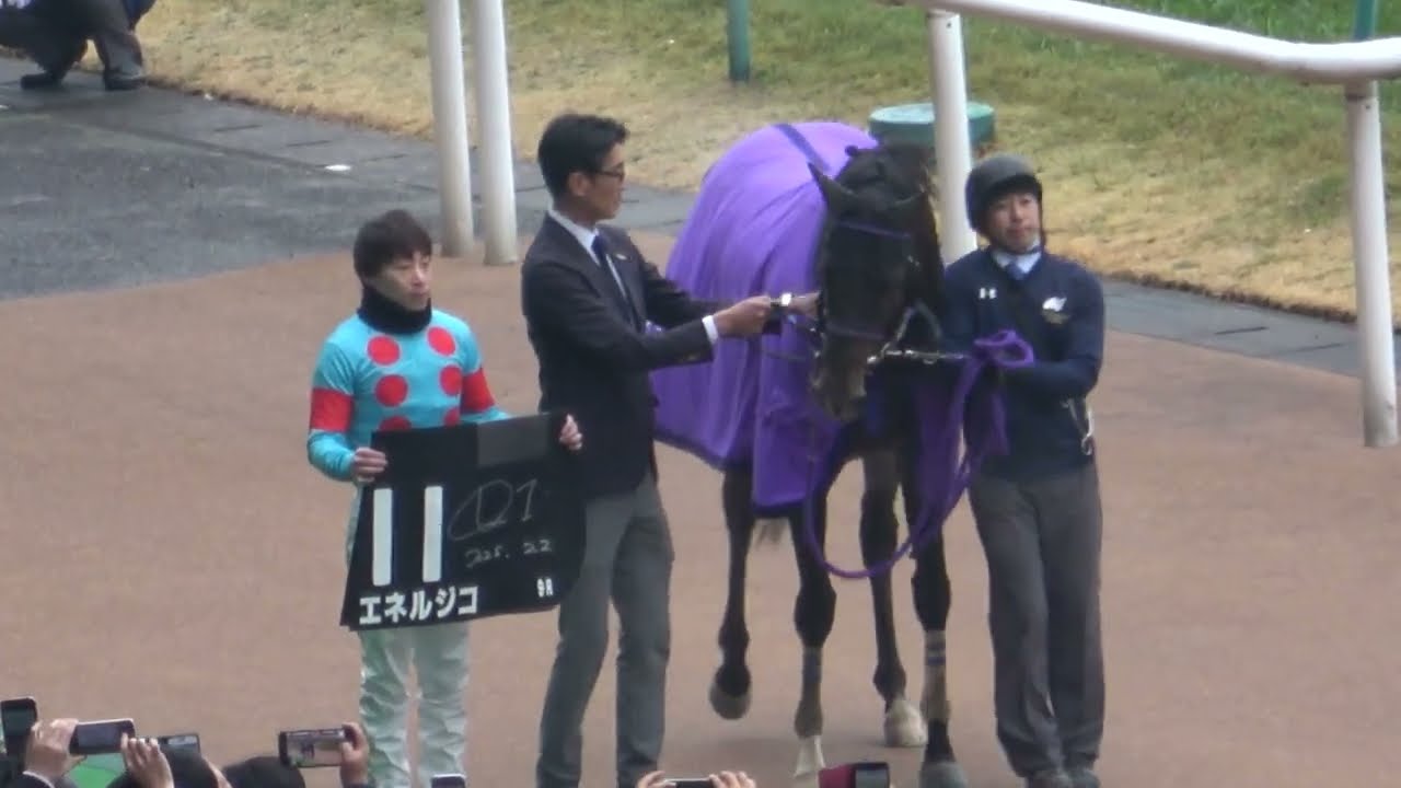 セントポーリア賞2025】出遅れを跳ね除けドゥラメンテ産駒最終世代の