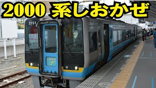 JR四国 2000系特急しおかぜ&いしづち～特急しおかぜ運行開始50周年