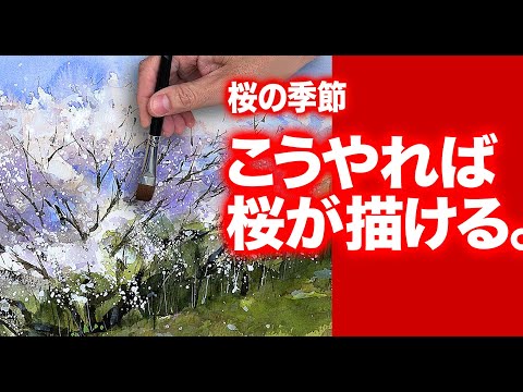 2021 Watercolor Painting: How to Draw Cherry Blossoms / Watercolor