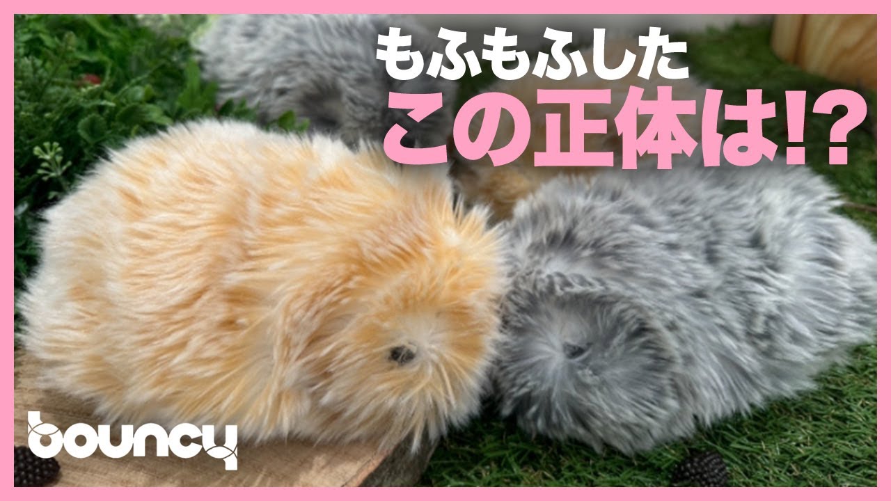 So fluffy and adorable! Casio releases AI pet robot 