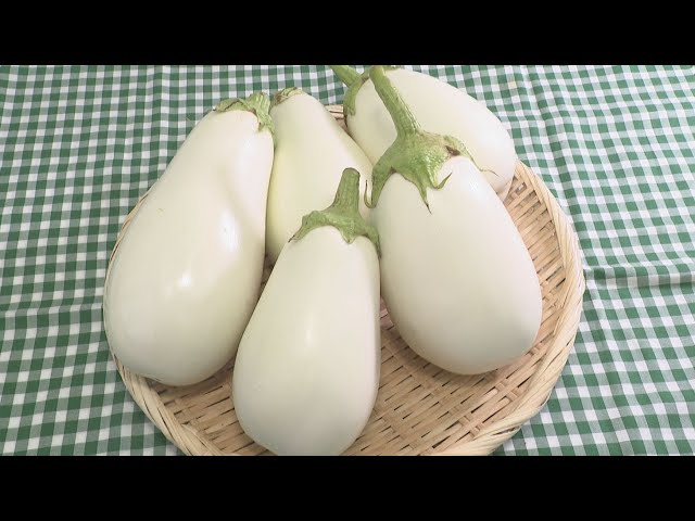 Vegetarian Special] Pure white and rounded 