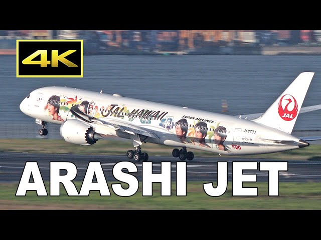 4K] 運航終了！ JAL 嵐ハワイジェット / JAL ARASHI HAWAII JET / 日本