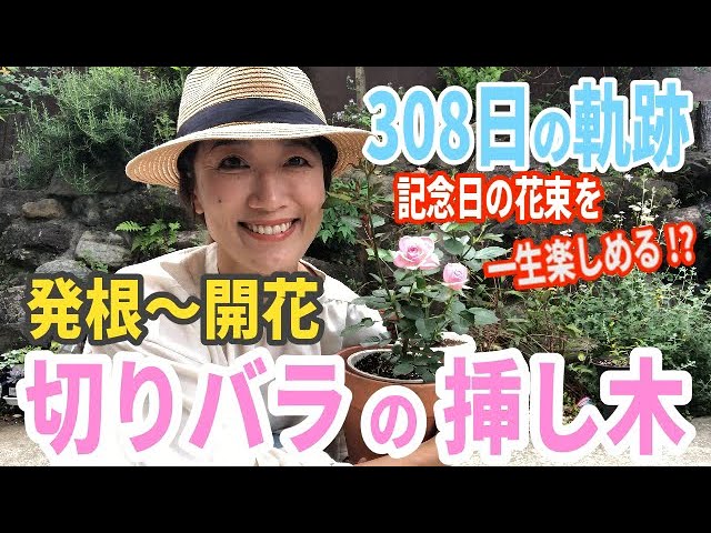 How to propagate plants] A thorough explanation of 