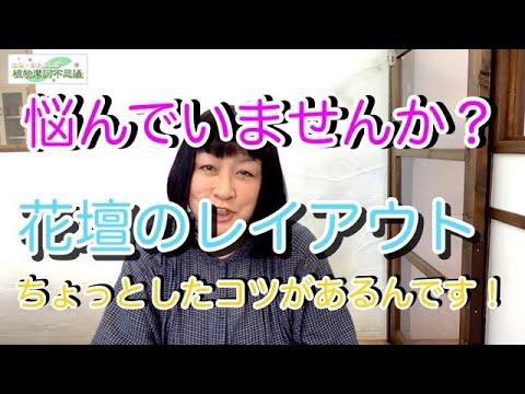 2021/6/15 花壇のレイアウトが決められない！ でもあまり悩まないで