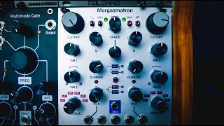 Intellijel Morgasmatron - Eurorack Module on ModularGrid